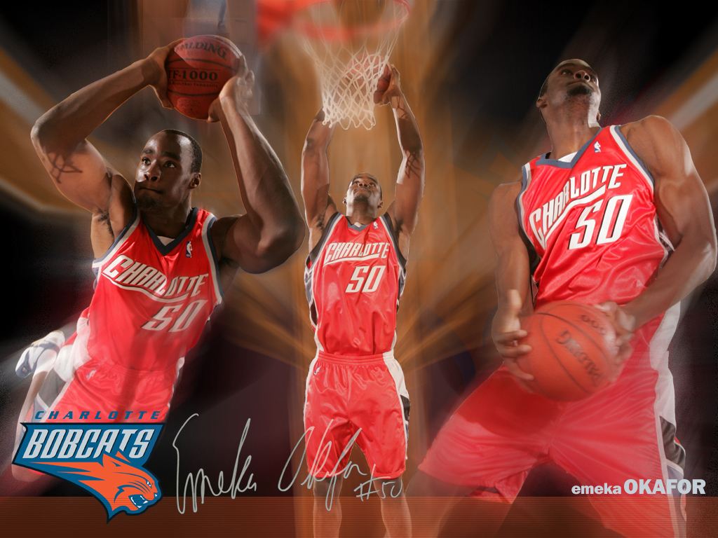 Charlotte Bobcats , HD Wallpaper & Backgrounds