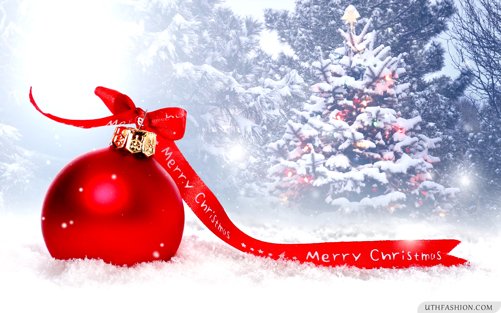 Thank You For Sharing Christmas , HD Wallpaper & Backgrounds