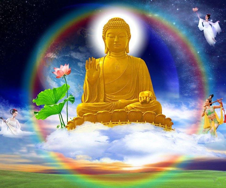 Tian Tan Buddha , HD Wallpaper & Backgrounds