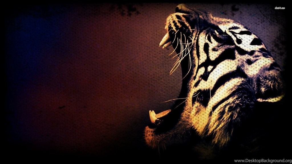 Laptop Wallpaper Hd Tiger , HD Wallpaper & Backgrounds