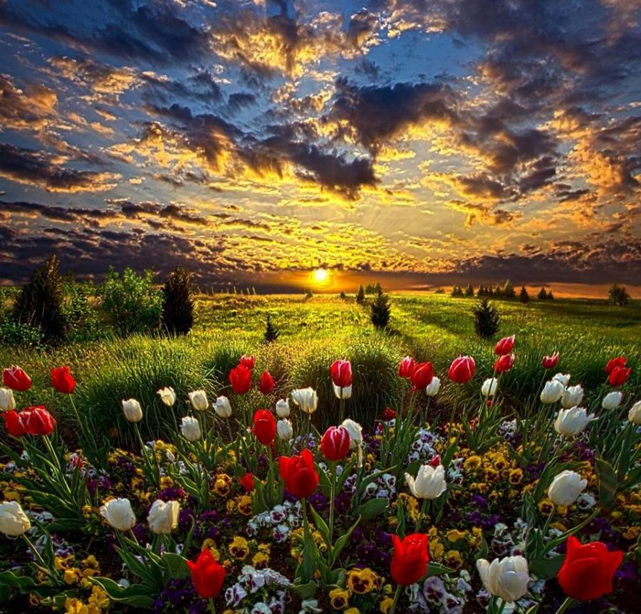 Beautiful Morning Photo Download , HD Wallpaper & Backgrounds
