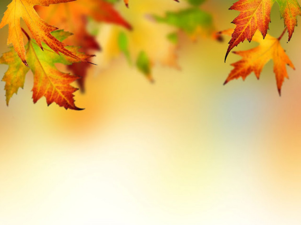 Free Autumn , HD Wallpaper & Backgrounds