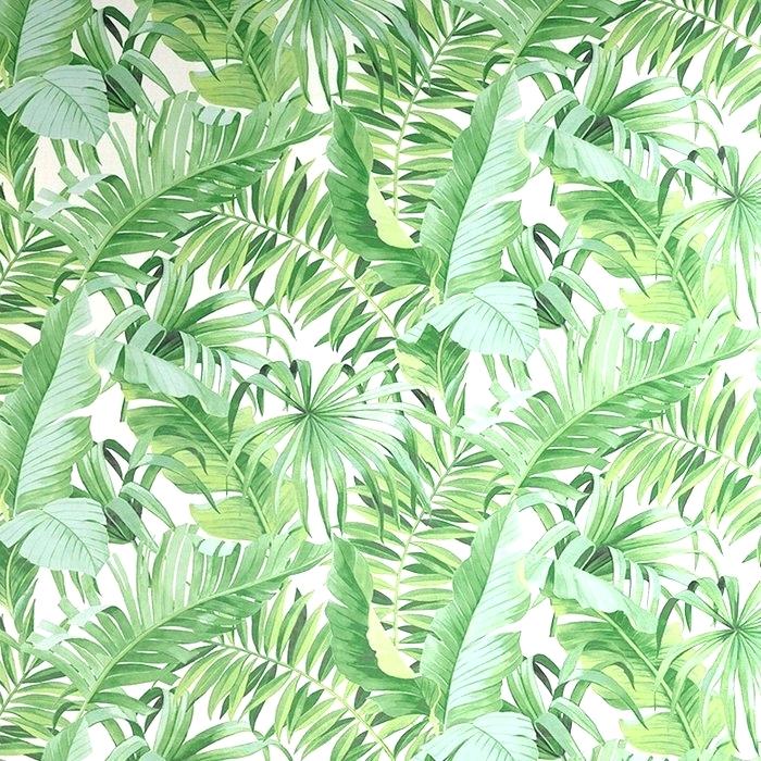 Tropical Leaves Wallpaper Uk , HD Wallpaper & Backgrounds