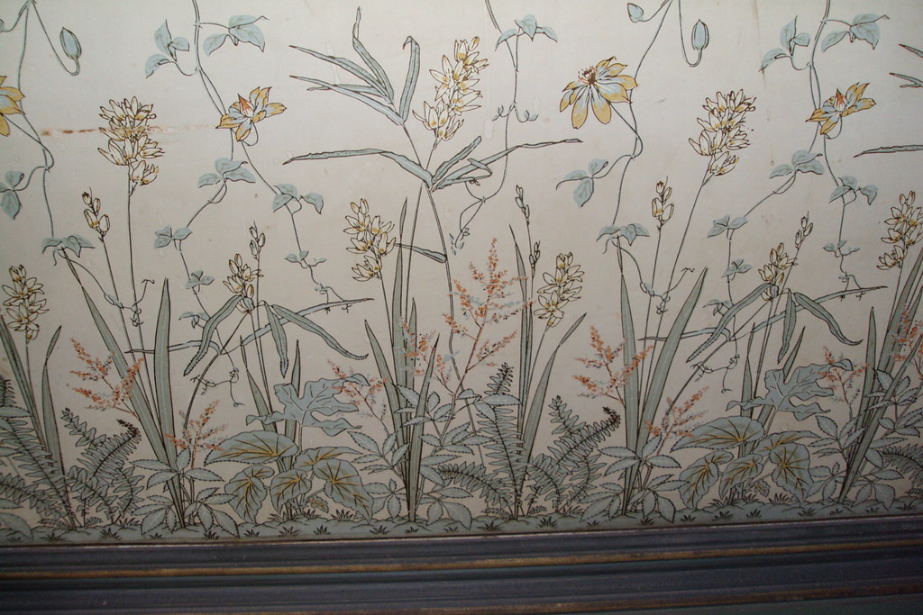 Dendrobium , HD Wallpaper & Backgrounds