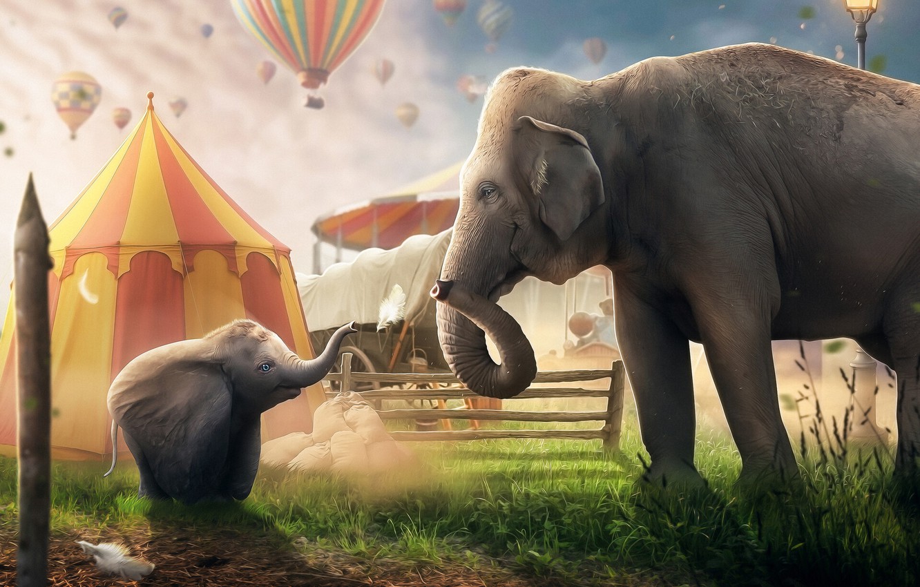 Dumbo 2019 , HD Wallpaper & Backgrounds
