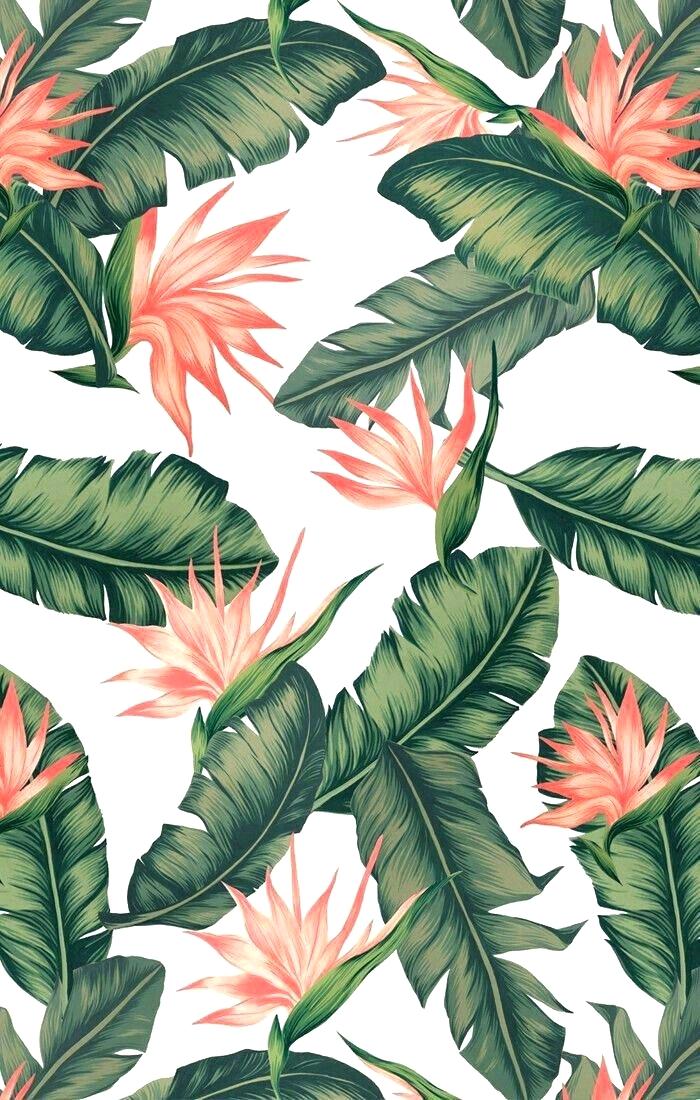 Tropical Leaves Iphone Background , HD Wallpaper & Backgrounds