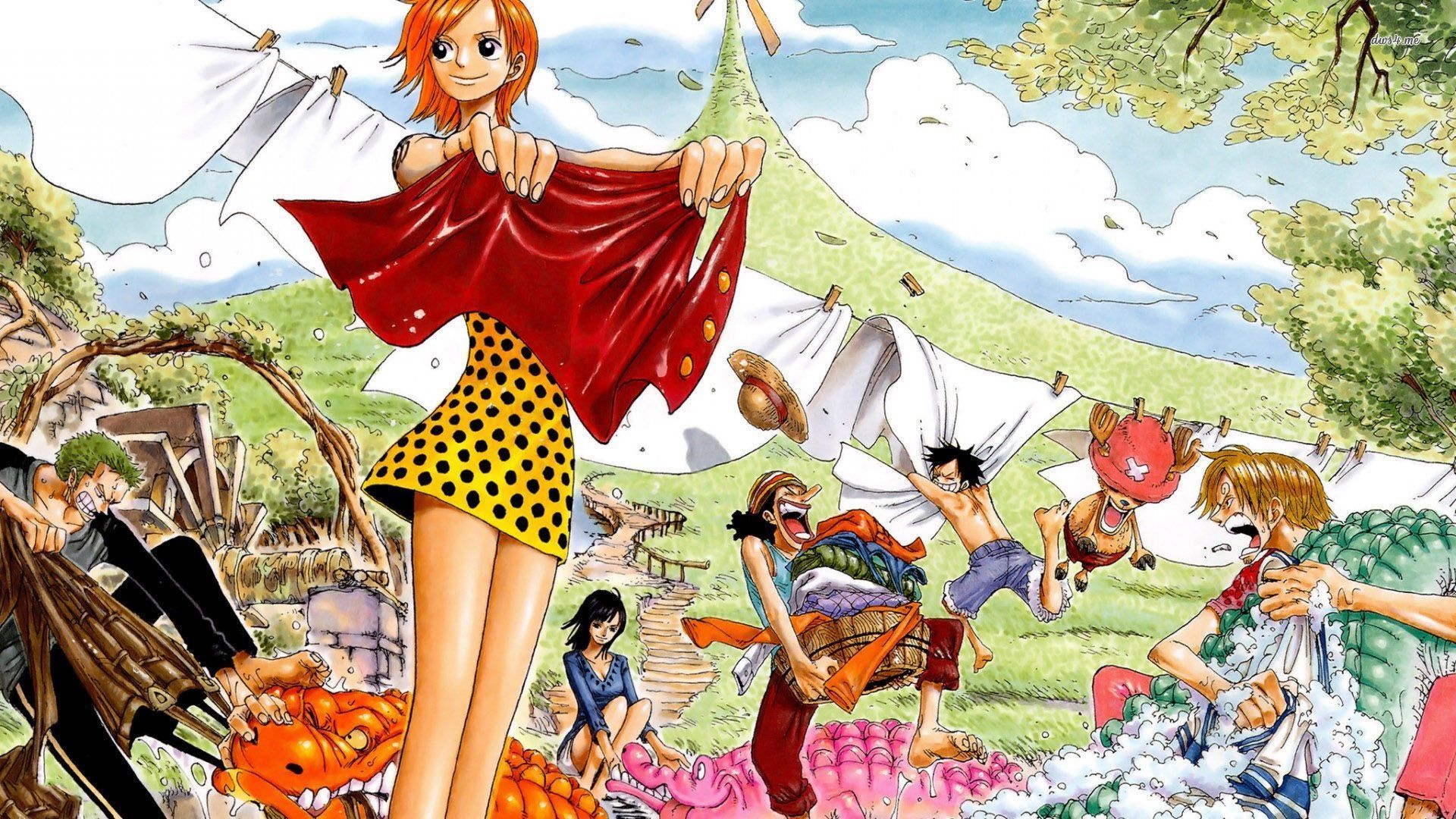 One Piece , HD Wallpaper & Backgrounds