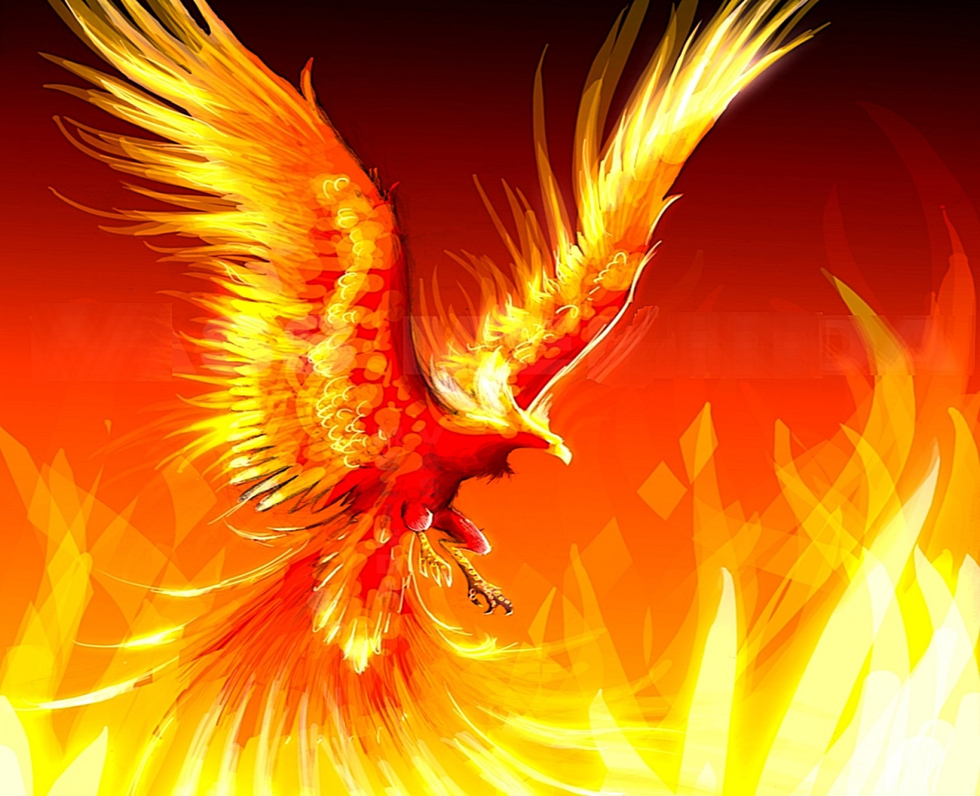 Phoenix Bird , HD Wallpaper & Backgrounds