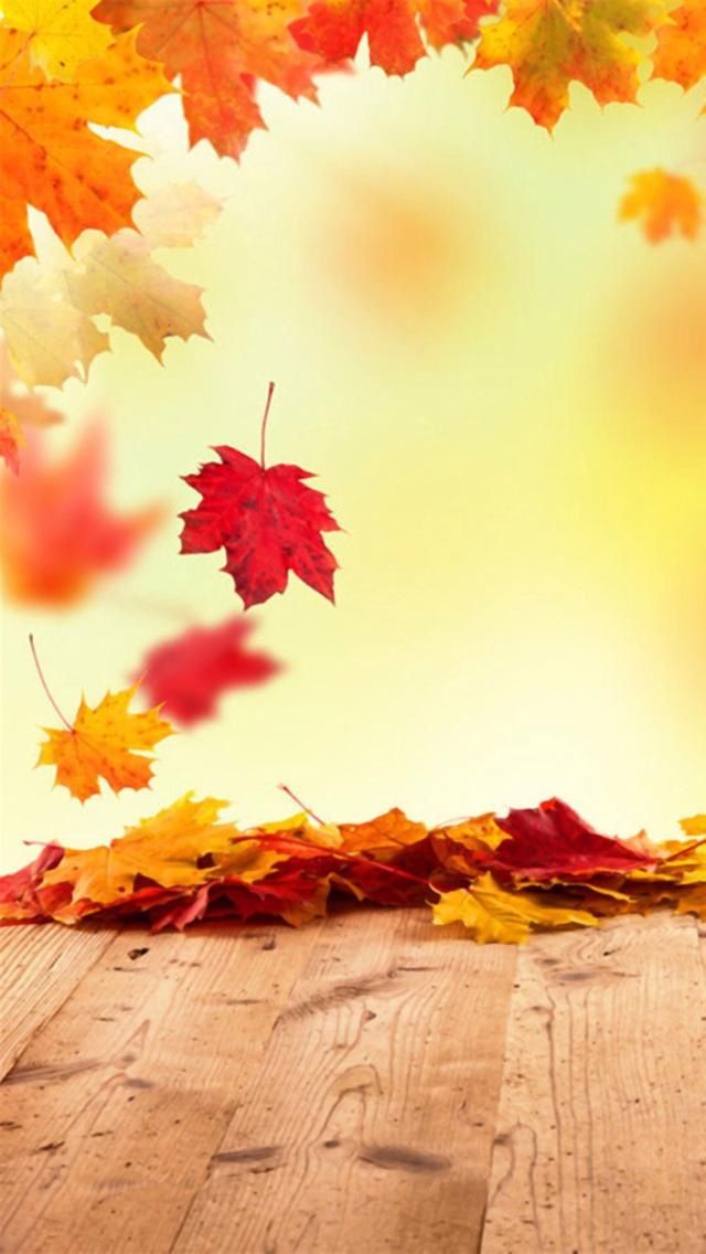 25++ Autumn Live Wallpaper Ipad - Basty Wallpaper