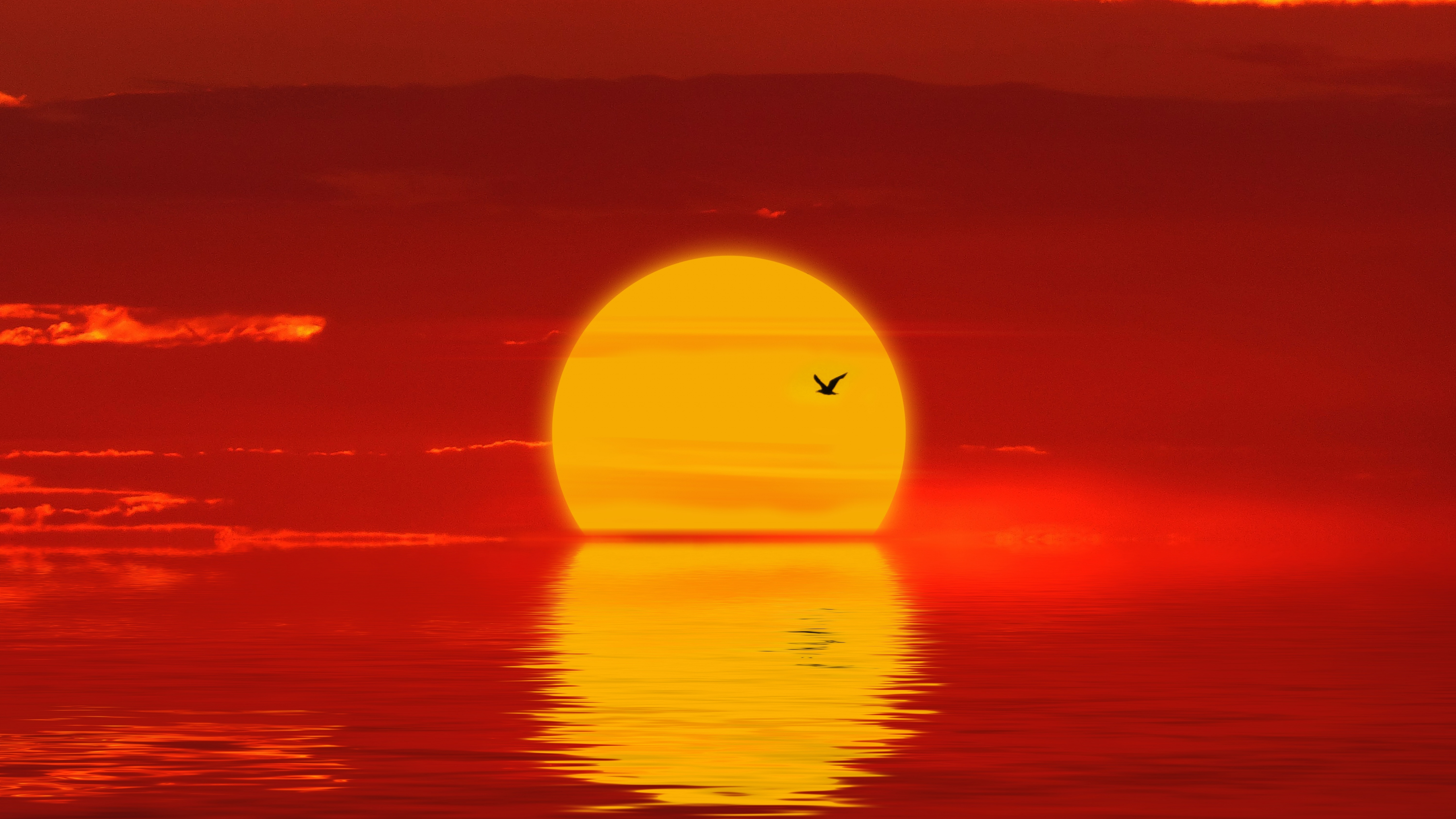 Sunset Yellow , HD Wallpaper & Backgrounds