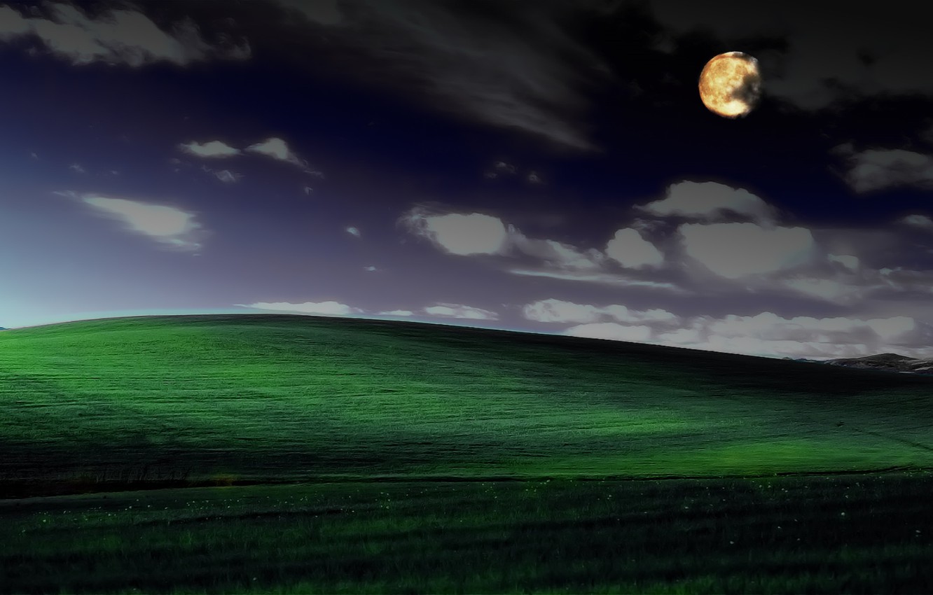 Windows Xp Background Cat , HD Wallpaper & Backgrounds