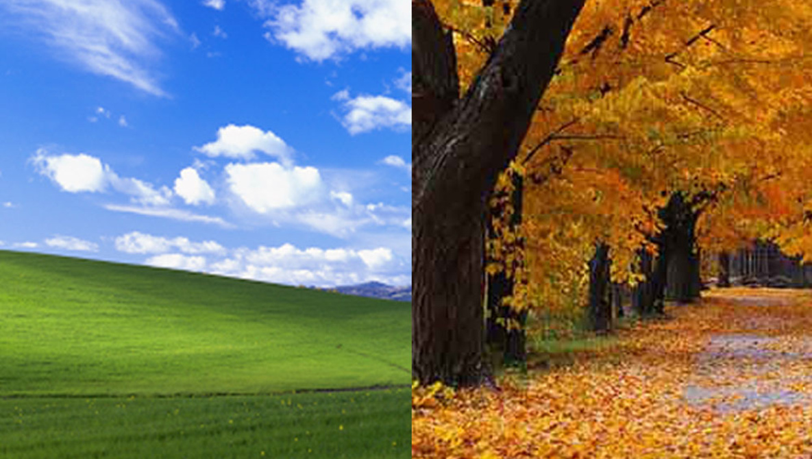 Windows Xp Autumn , HD Wallpaper & Backgrounds