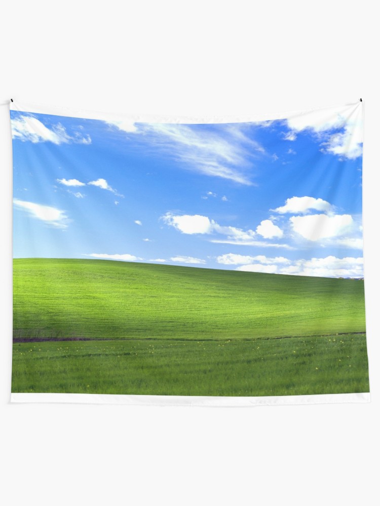 Windows Xp Bliss , HD Wallpaper & Backgrounds