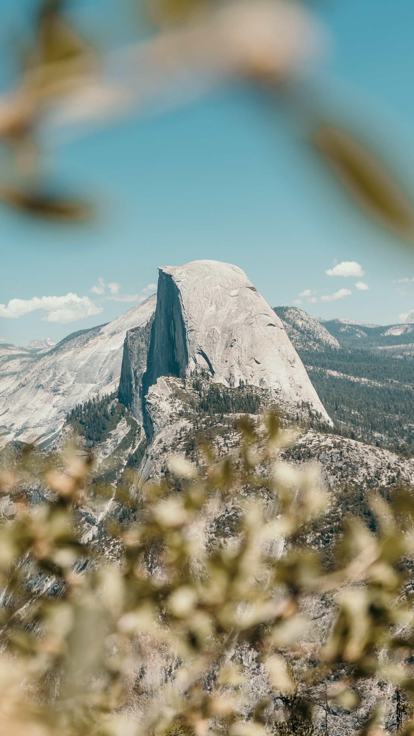 Yosemite National Park, Half Dome , HD Wallpaper & Backgrounds