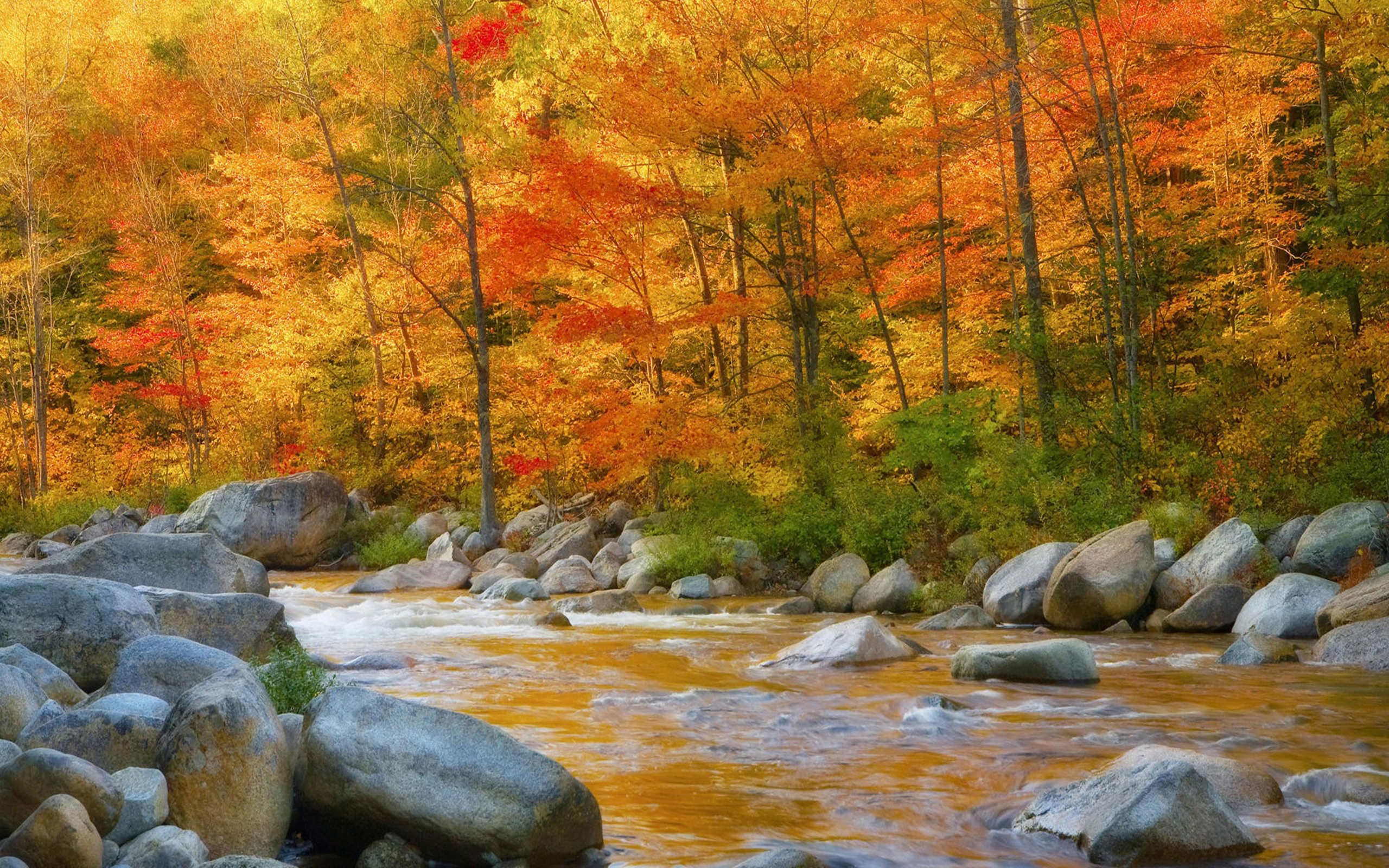 Fall Season , HD Wallpaper & Backgrounds