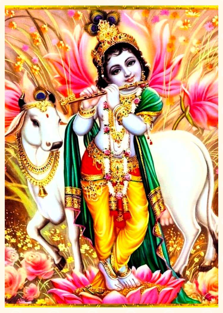 Lord Krishna , HD Wallpaper & Backgrounds