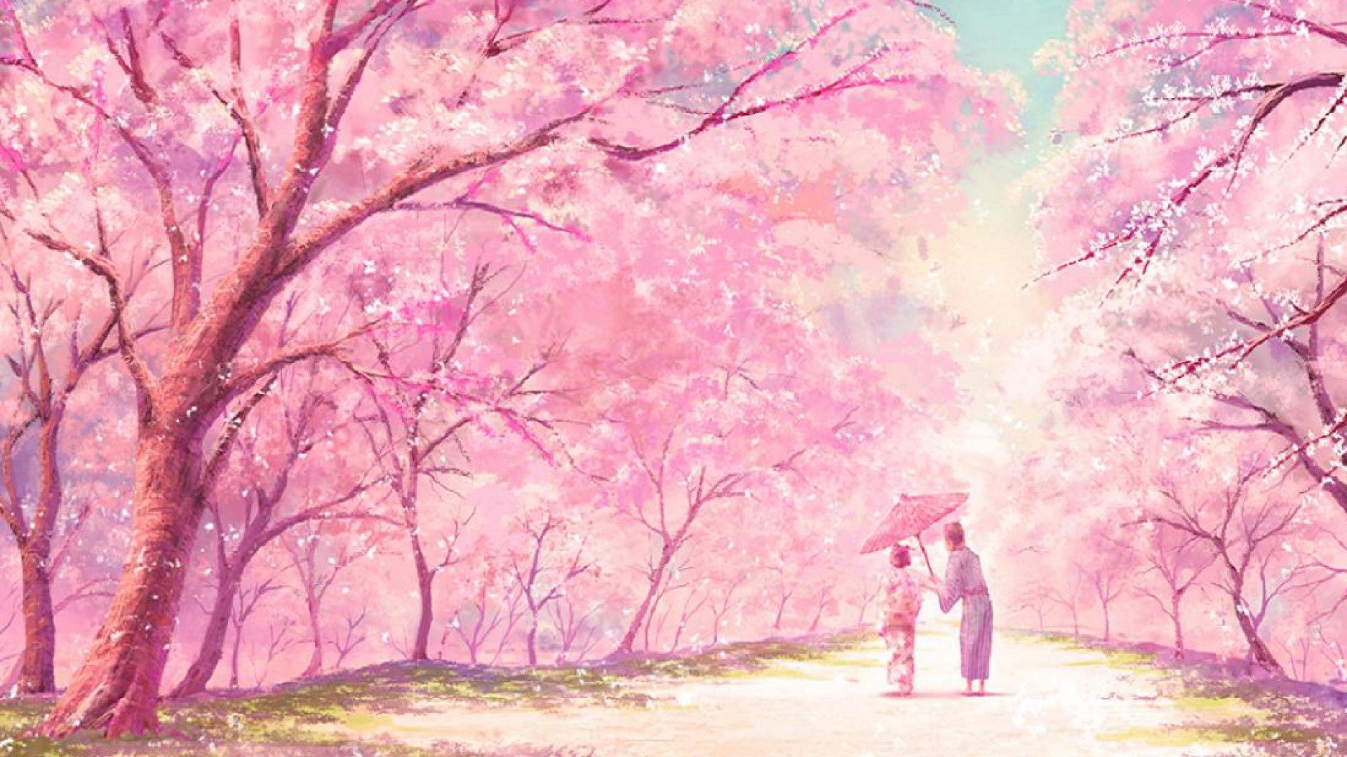 Japanese Cherry Blossom Anime , HD Wallpaper & Backgrounds