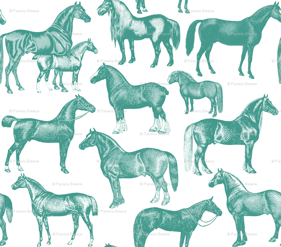 Foal , HD Wallpaper & Backgrounds