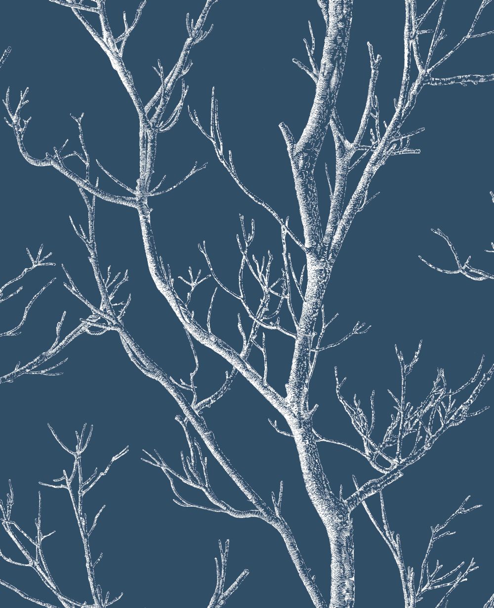 Tree Wallpaper , HD Wallpaper & Backgrounds