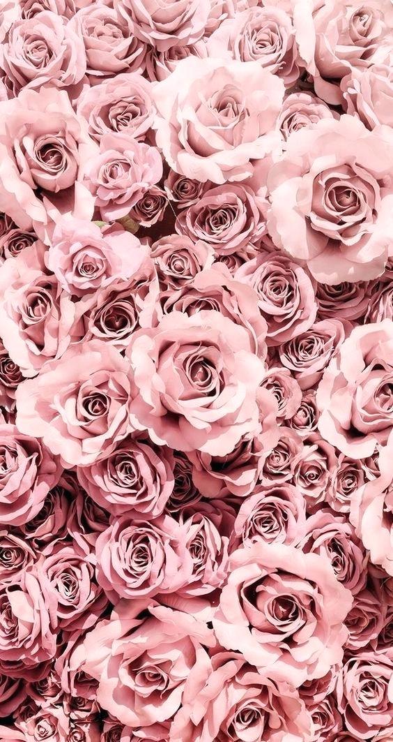 Rose Gold Aesthetic Wallpapers For Iphone , HD Wallpaper & Backgrounds