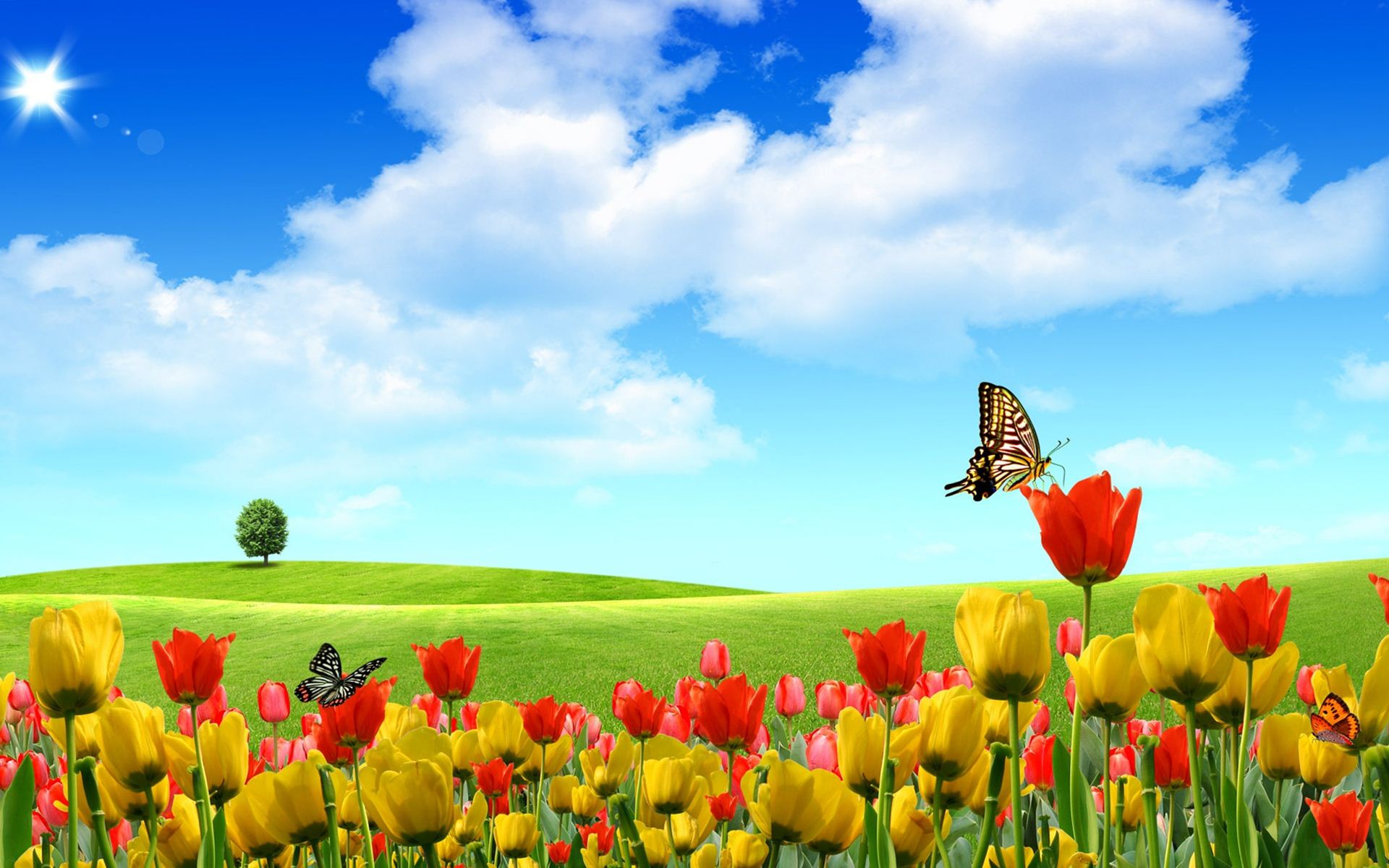 Spring Hd , HD Wallpaper & Backgrounds