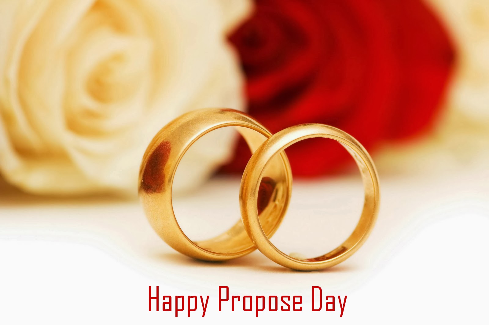 Download Rose Day Images For Whatsapp Dp Profile - Boyfriend Happy Propose Day , HD Wallpaper & Backgrounds
