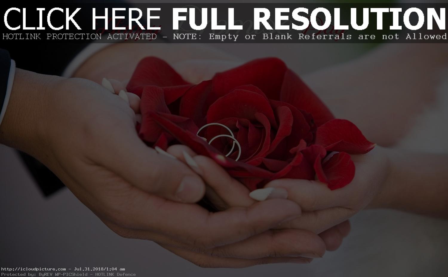 Propose Day Wallpaper Download , HD Wallpaper & Backgrounds