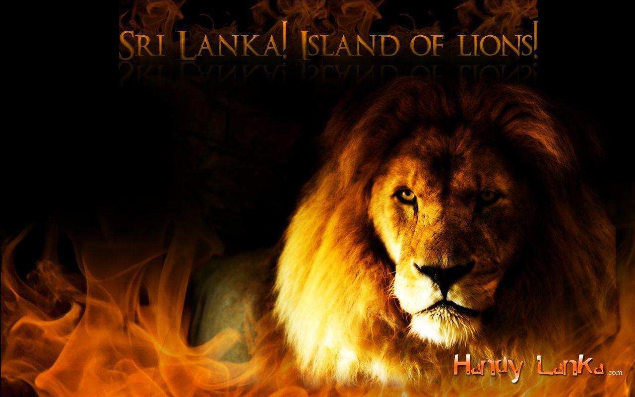 My Sri Lanka Wallpapers To Download - Sri Lankan Flag With Lion , HD Wallpaper & Backgrounds
