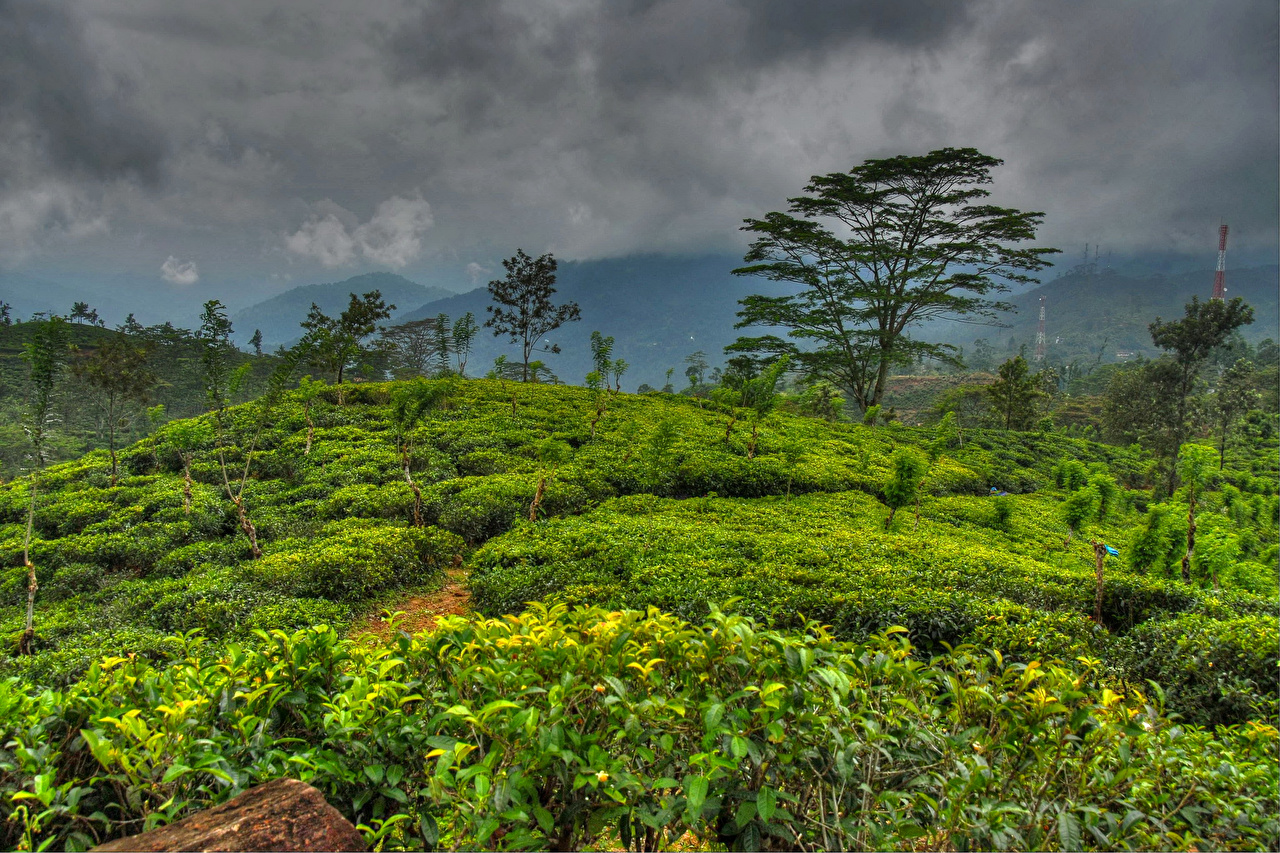 Wallpapers Sri Lanka Nature Sky Tropics Landscape Photography - Sri Lanka Nature , HD Wallpaper & Backgrounds