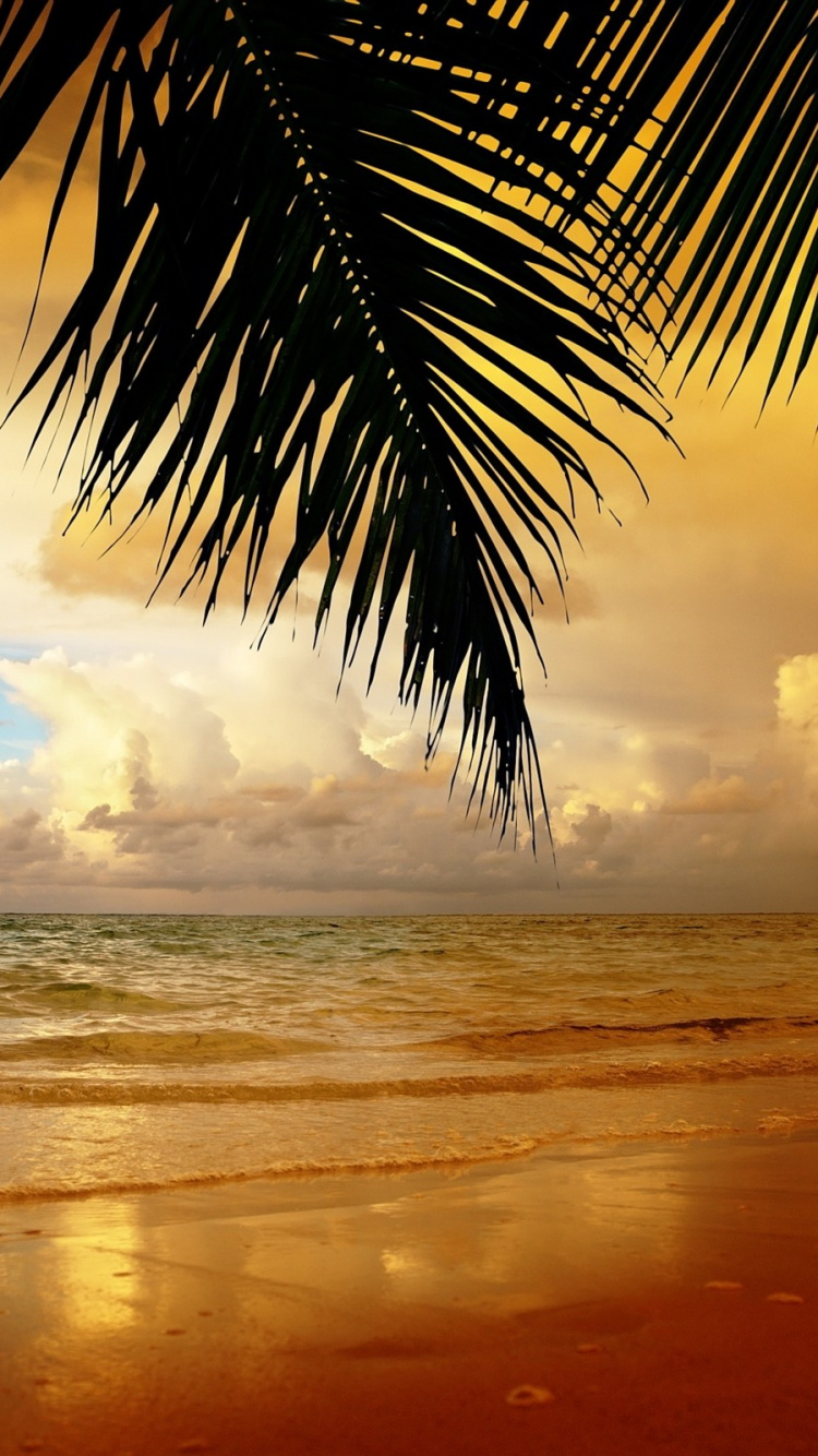 Morning, Sri Lanka, Sunset, Tropics, Sea Hd Wallpaper - Facebook Timeline Covers Beach , HD Wallpaper & Backgrounds