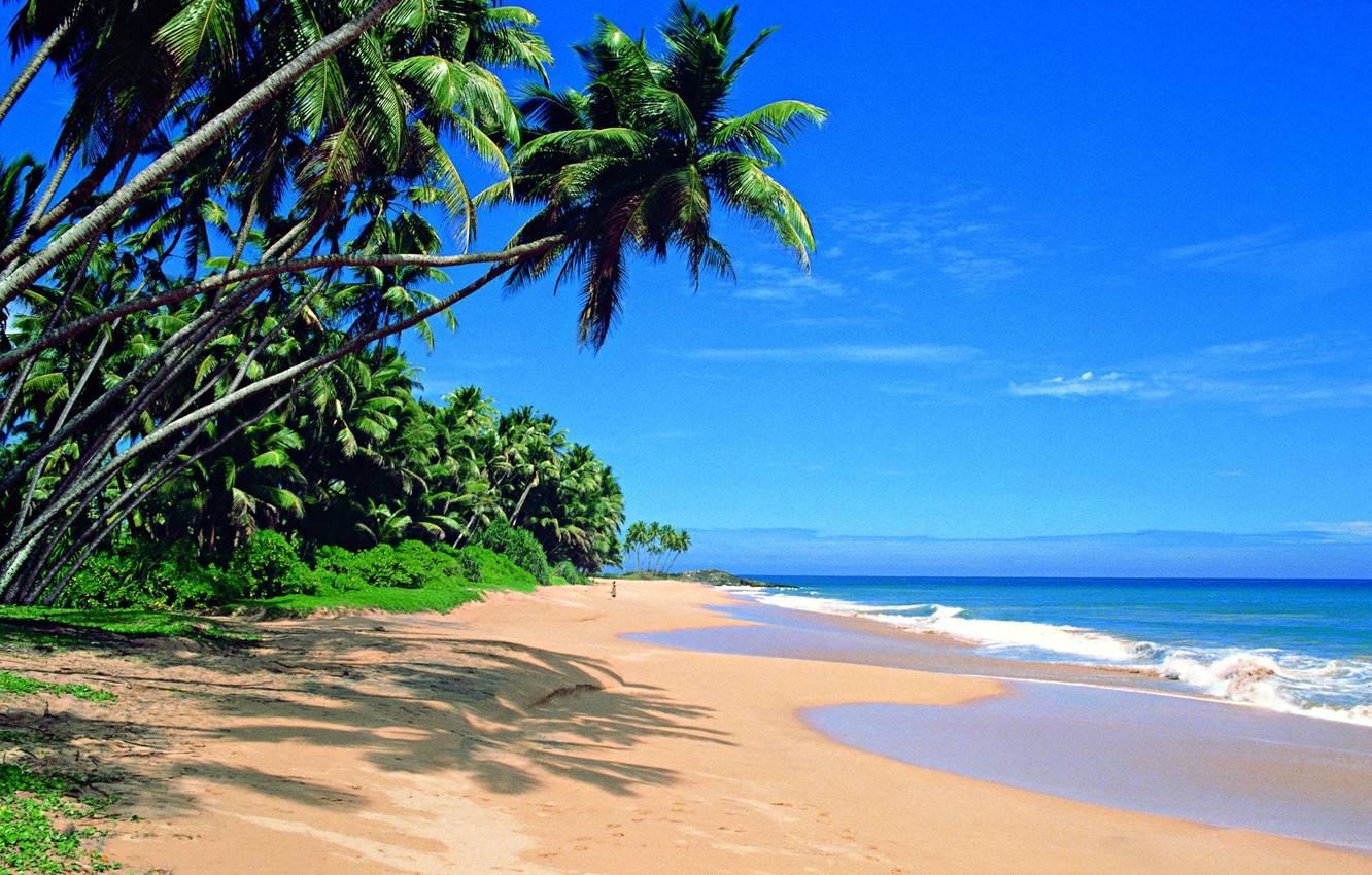 Photo Wallpaper Beach, Palm Trees, The Ocean, Sri Lanka - Sri Lanka See , HD Wallpaper & Backgrounds