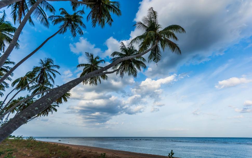 Nature, Landscape, Palm Trees, Beach, Tropical, Sea, - Sunrise Wallpaper On With Palm Trees , HD Wallpaper & Backgrounds