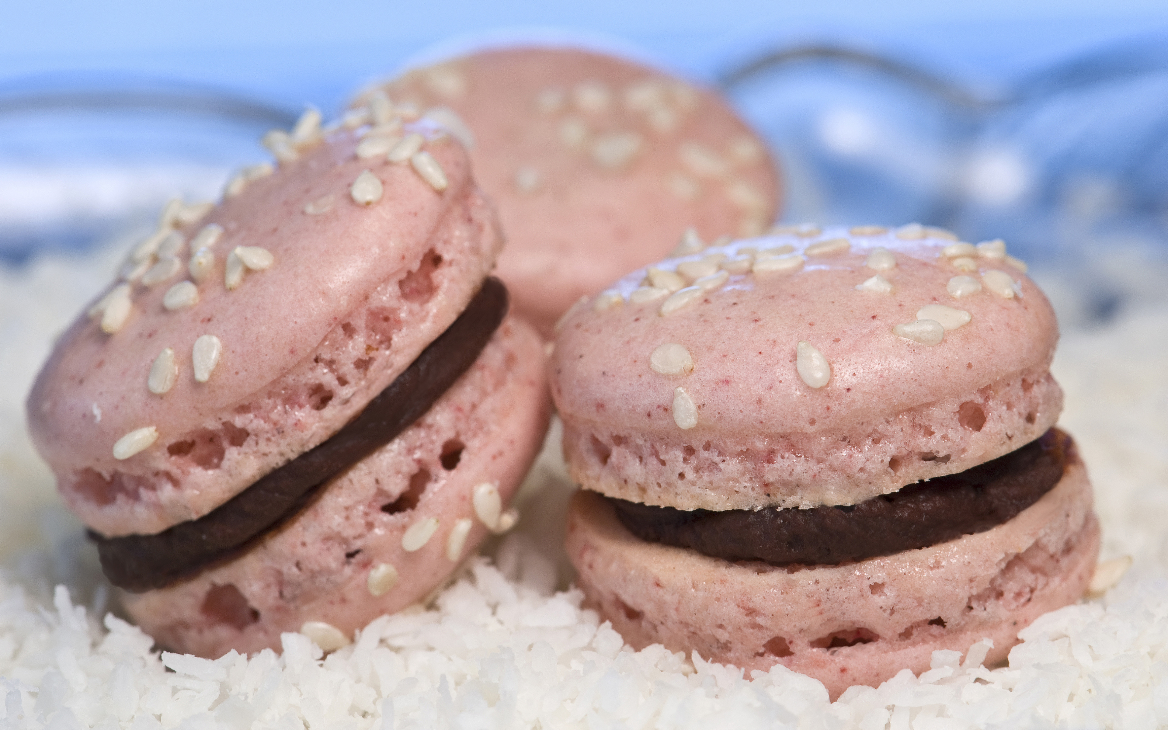 The Elusive French Macaron Wallpaper , HD Wallpaper & Backgrounds
