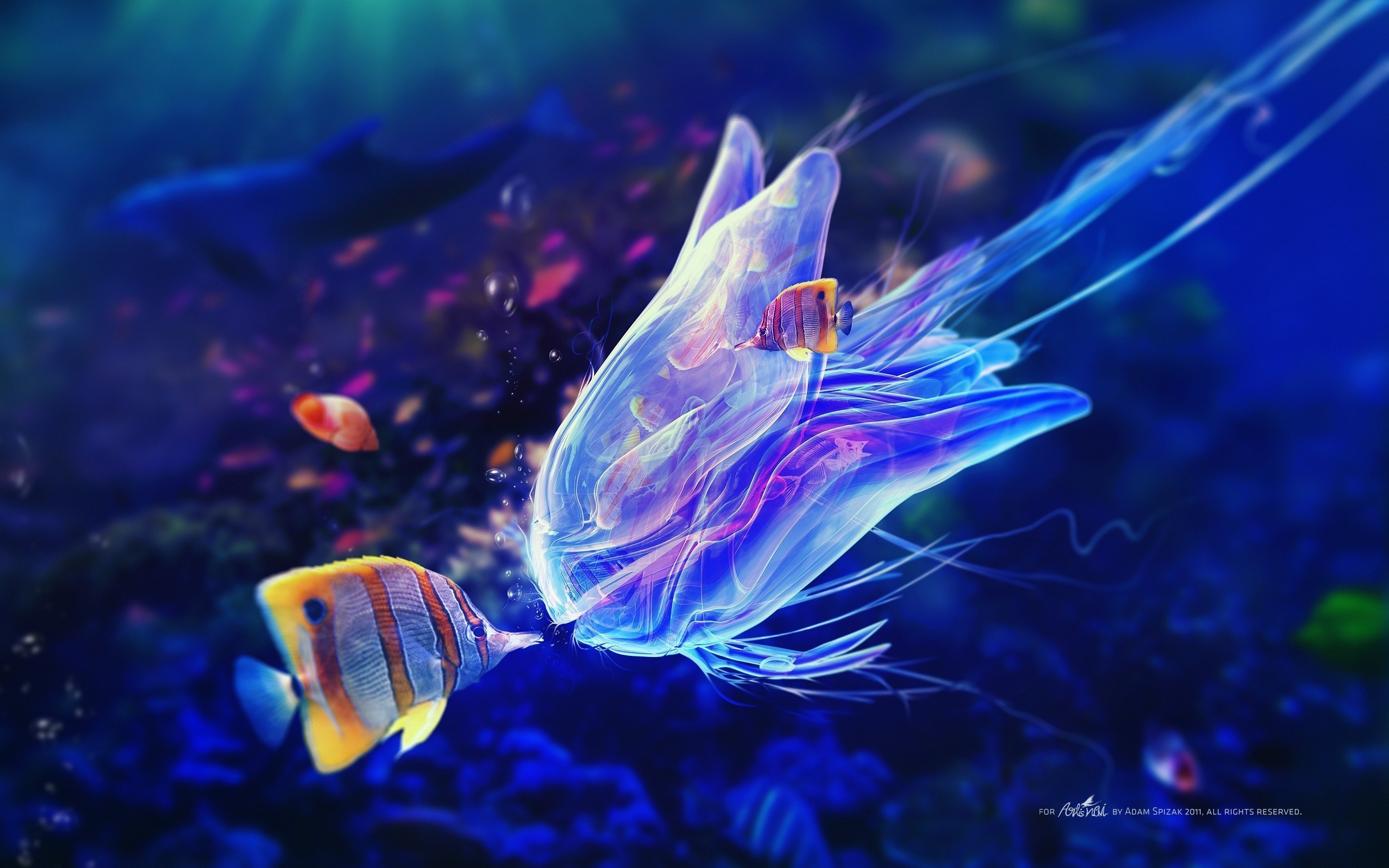 Digital Art, Underwater, Fish, Kissing, Adam Spizak - Marine Life Hd , HD Wallpaper & Backgrounds