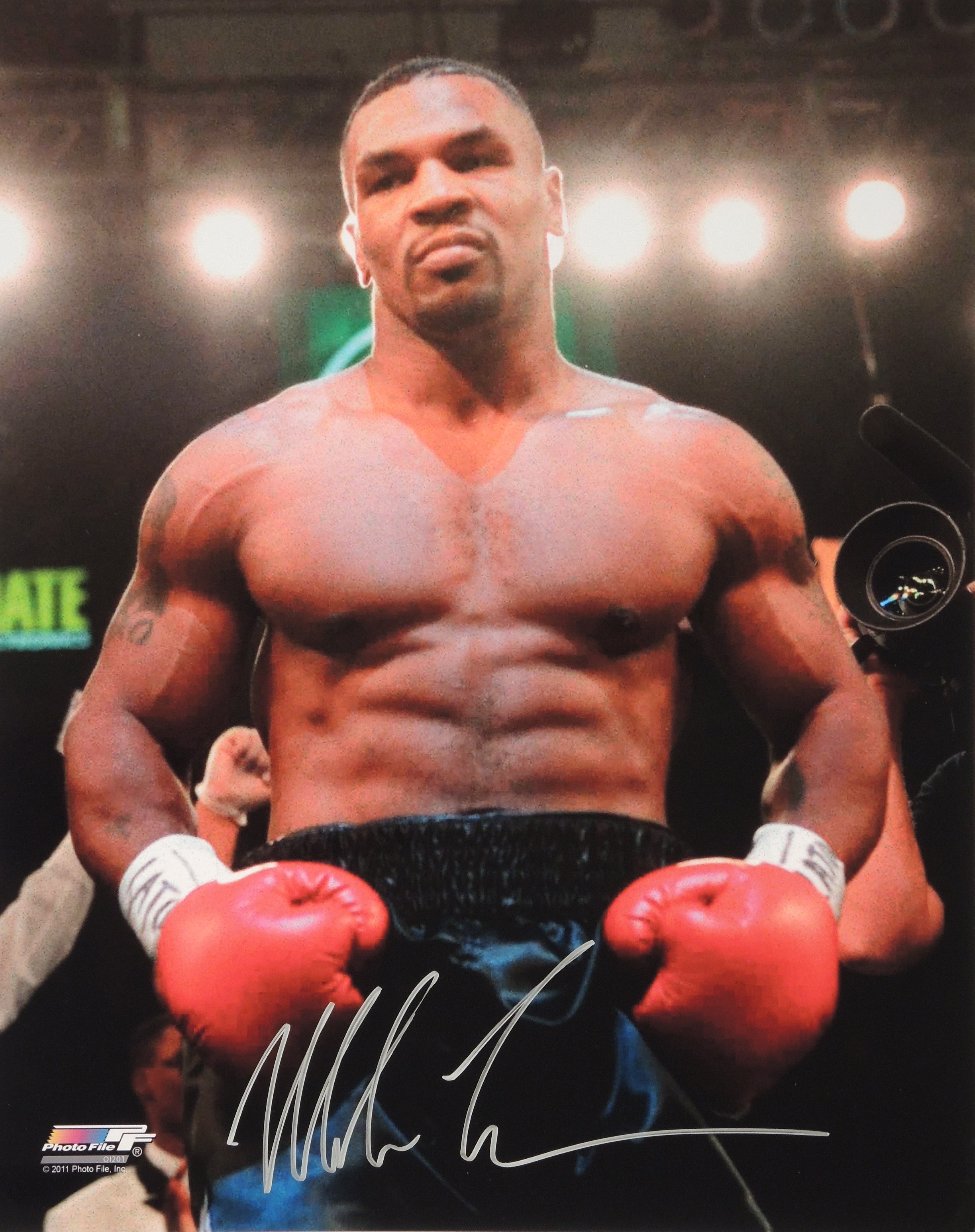 Mike Tyson - Mike Tyson Boxer , HD Wallpaper & Backgrounds