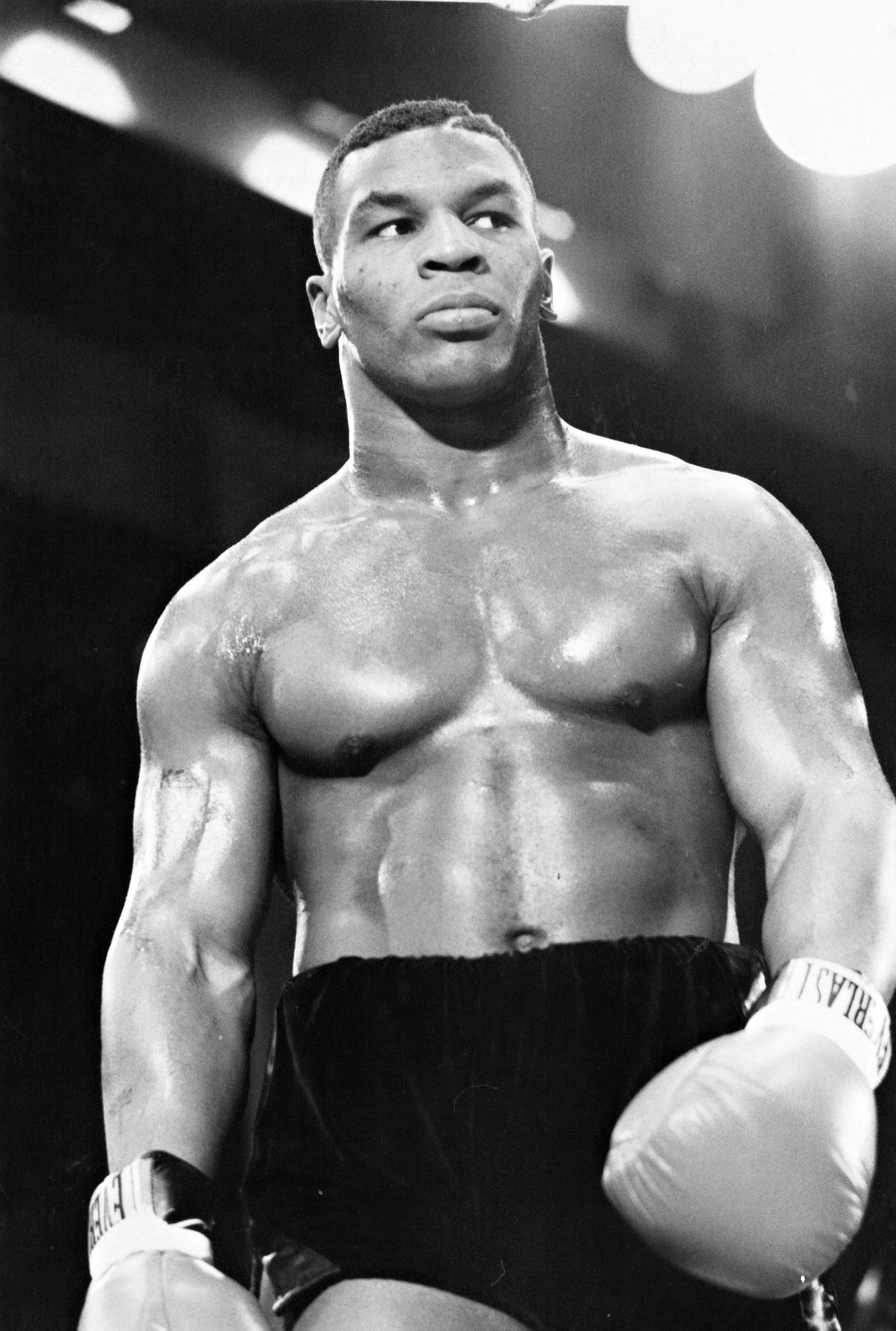 Mike Tyson Wallpaper Mobile ~ Desktop Wallpaper Box - Mike Tyson Wallpaper Phone , HD Wallpaper & Backgrounds