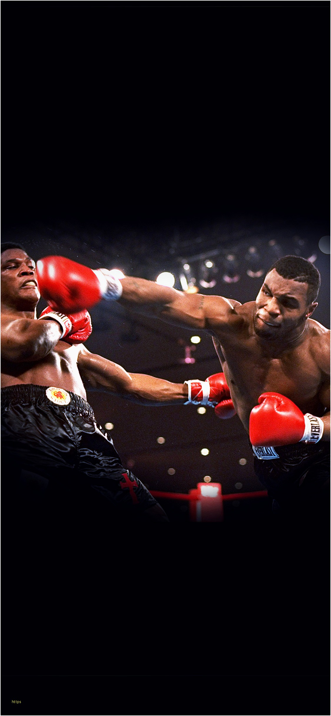 Mike Tyson Wallpaper Elegant Boxing Wallpapers 78 Background - Iron Mike Tyson , HD Wallpaper & Backgrounds