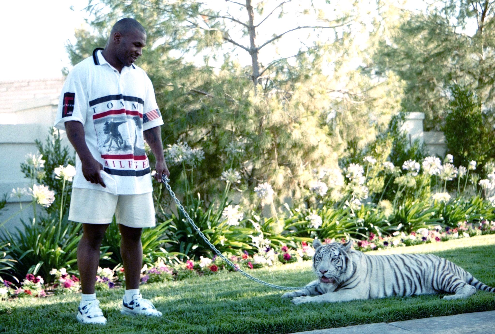 Mike Tyson And White Tiger , HD Wallpaper & Backgrounds