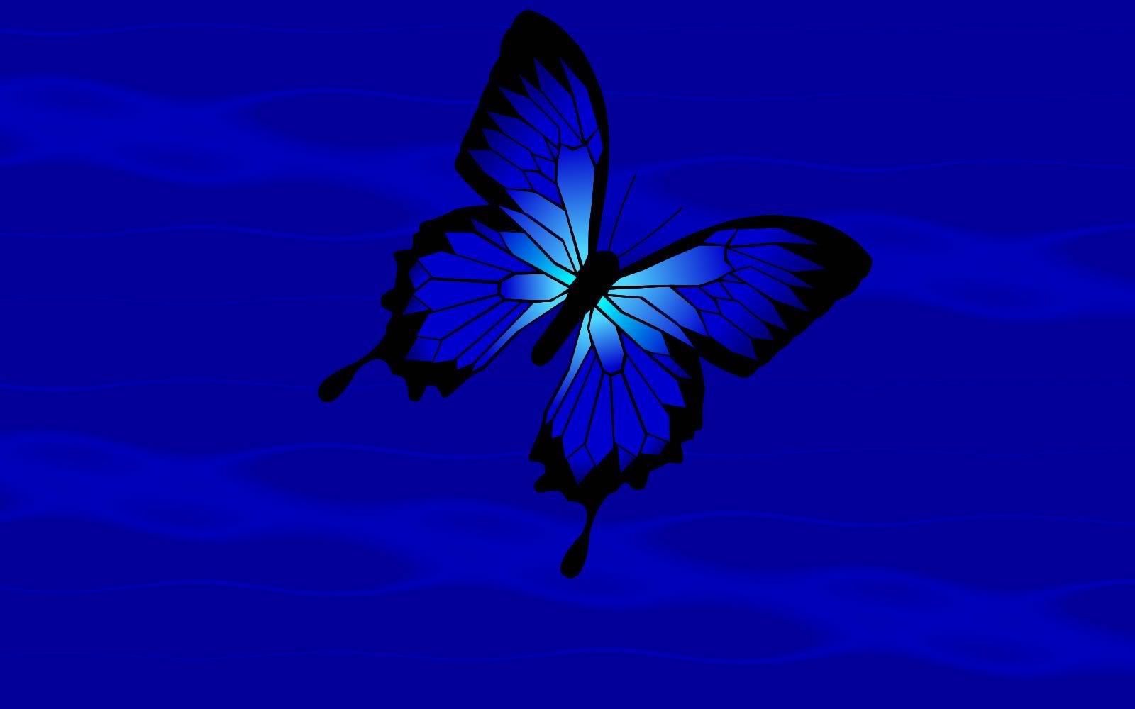 Butterfly Wallpaper Hd Blue Butterfly Wallpaper - Blue Butterfly Hd , HD Wallpaper & Backgrounds