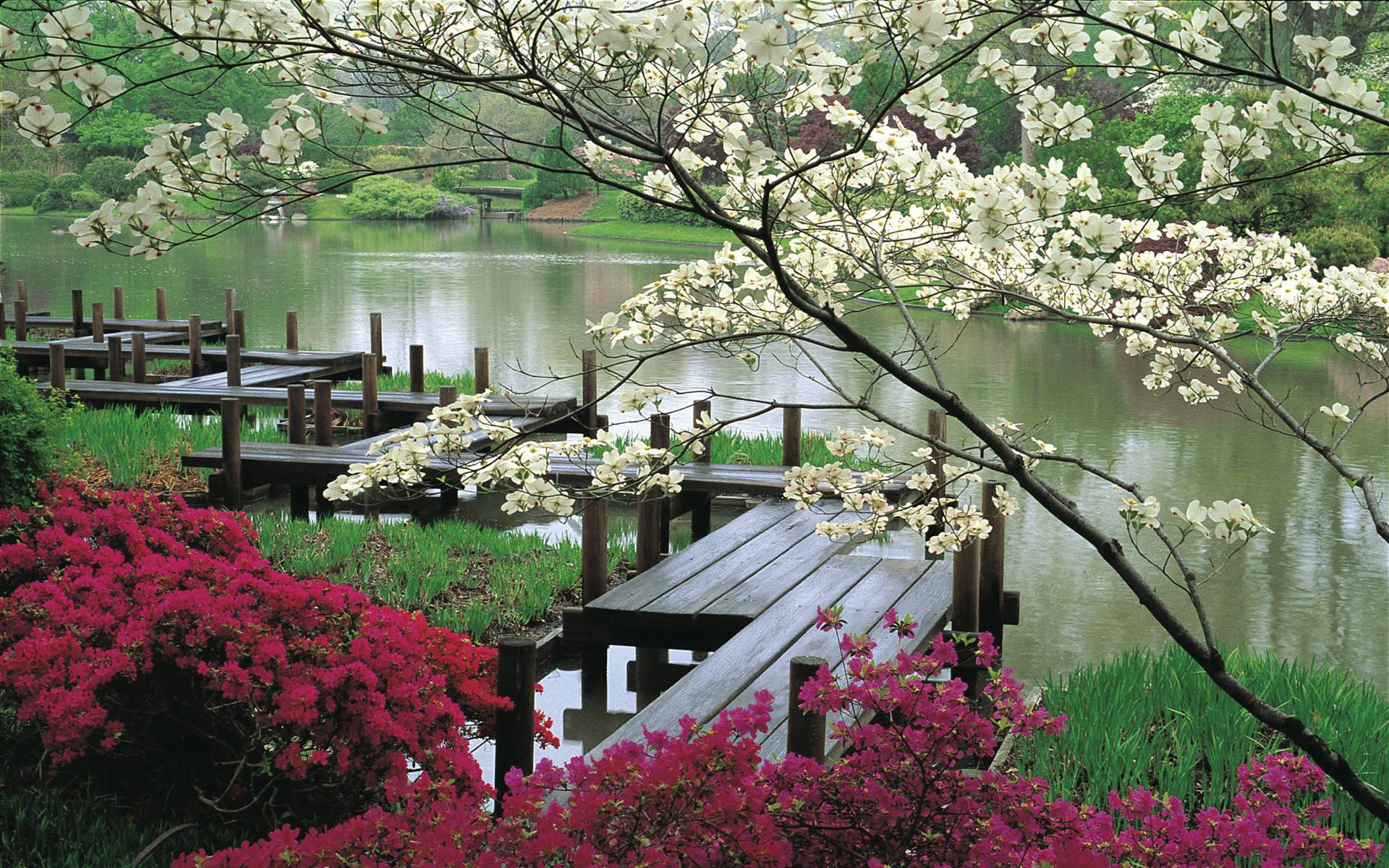 Paintable On Pinterest - Japanese Garden , HD Wallpaper & Backgrounds