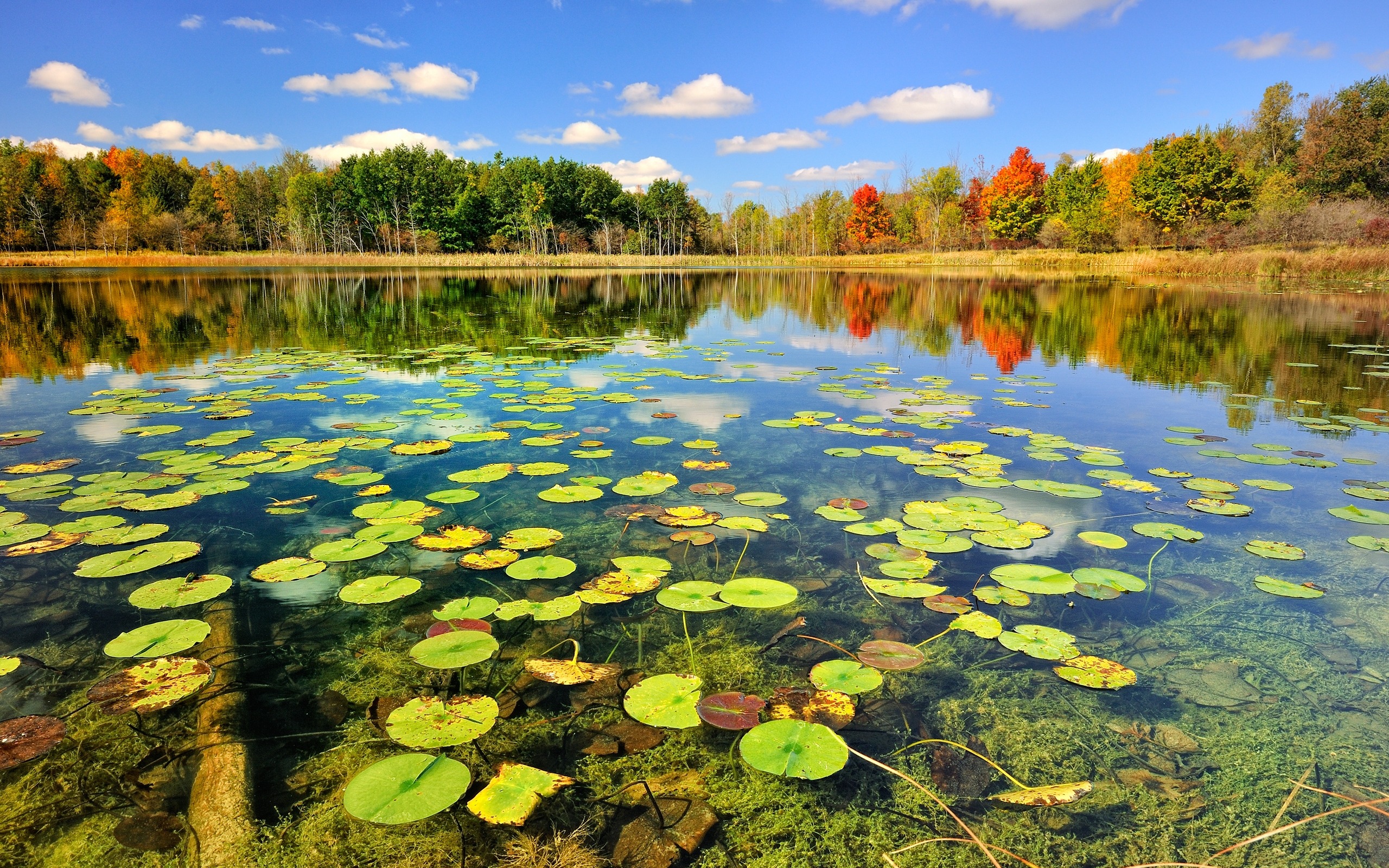 Beautiful Lake Scenery, Autumn Hd Desktop Wallpaper - Desktop Scenery Hd , HD Wallpaper & Backgrounds