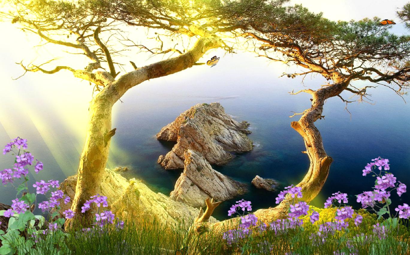 Beautiful Scenery Wallpapers Free Download - Download Beautiful , HD Wallpaper & Backgrounds