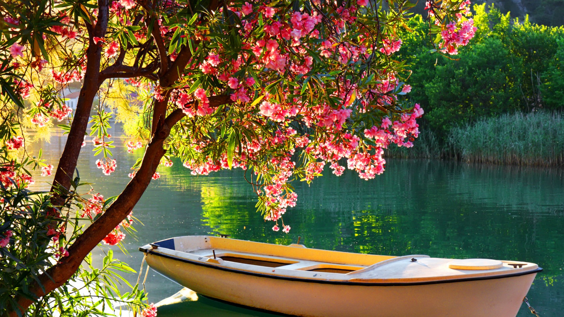 Boat In Spring Lake Hd Wallpaper - Boat Full Of Flowers , HD Wallpaper & Backgrounds