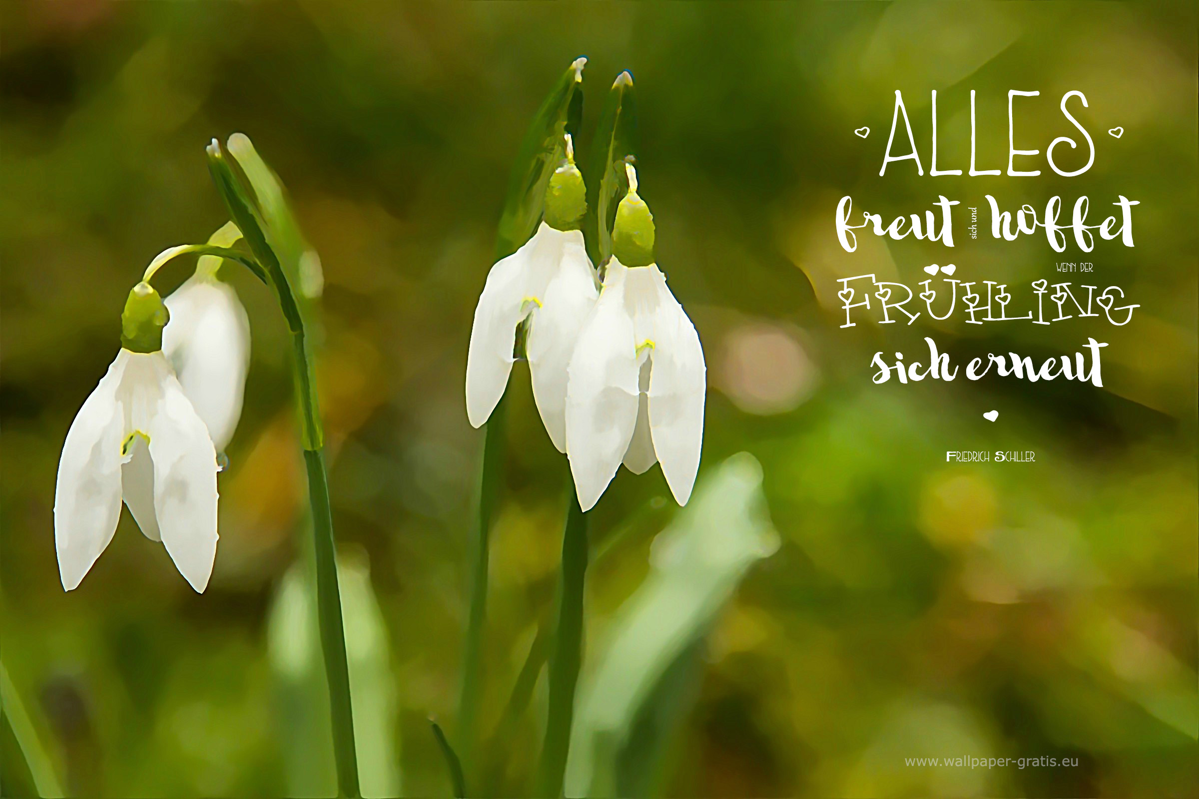 Alles - Zitat Frühling , HD Wallpaper & Backgrounds