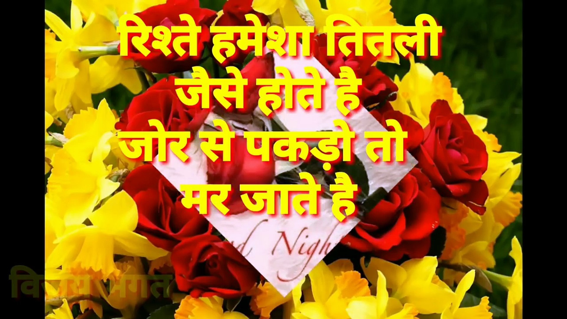 शूभ रात्री Good Night Wishes Whatsapp Video Message - Red And Yellow Roses Background , HD Wallpaper & Backgrounds