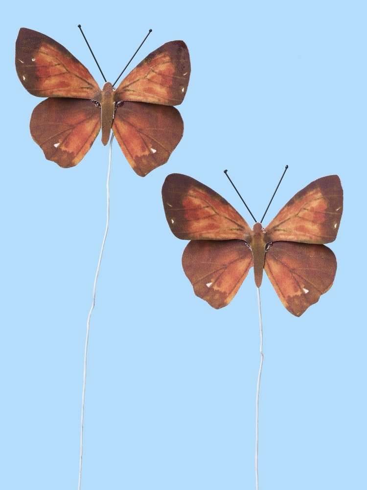 Gemtlich Frhling Schmetterlinge Frbung Seiten Farbung - Meadow Brown , HD Wallpaper & Backgrounds