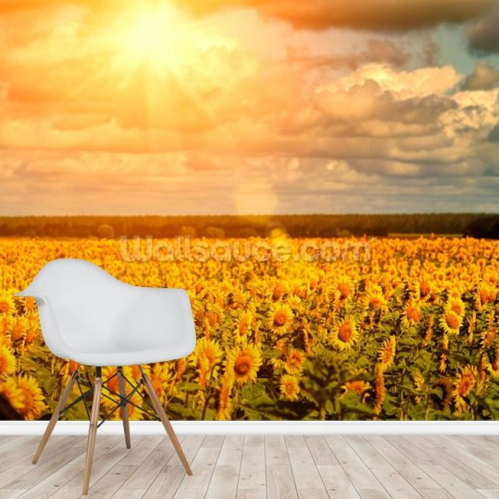 Sunflowers Wallpaper - Landscape , HD Wallpaper & Backgrounds