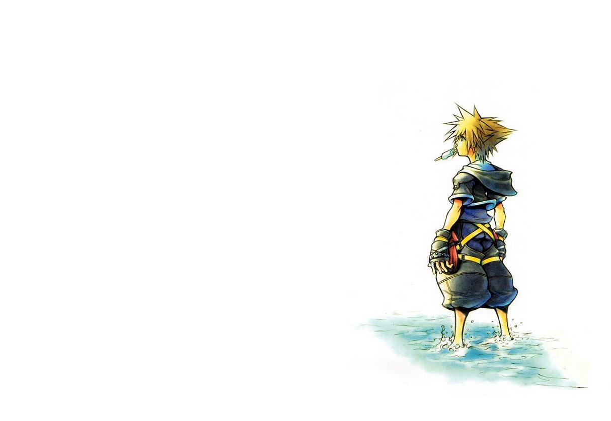 Kingdom - Kingdom Hearts Sora Art , HD Wallpaper & Backgrounds