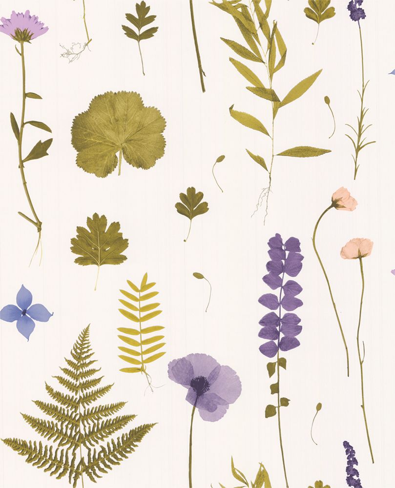 Herbarium , HD Wallpaper & Backgrounds
