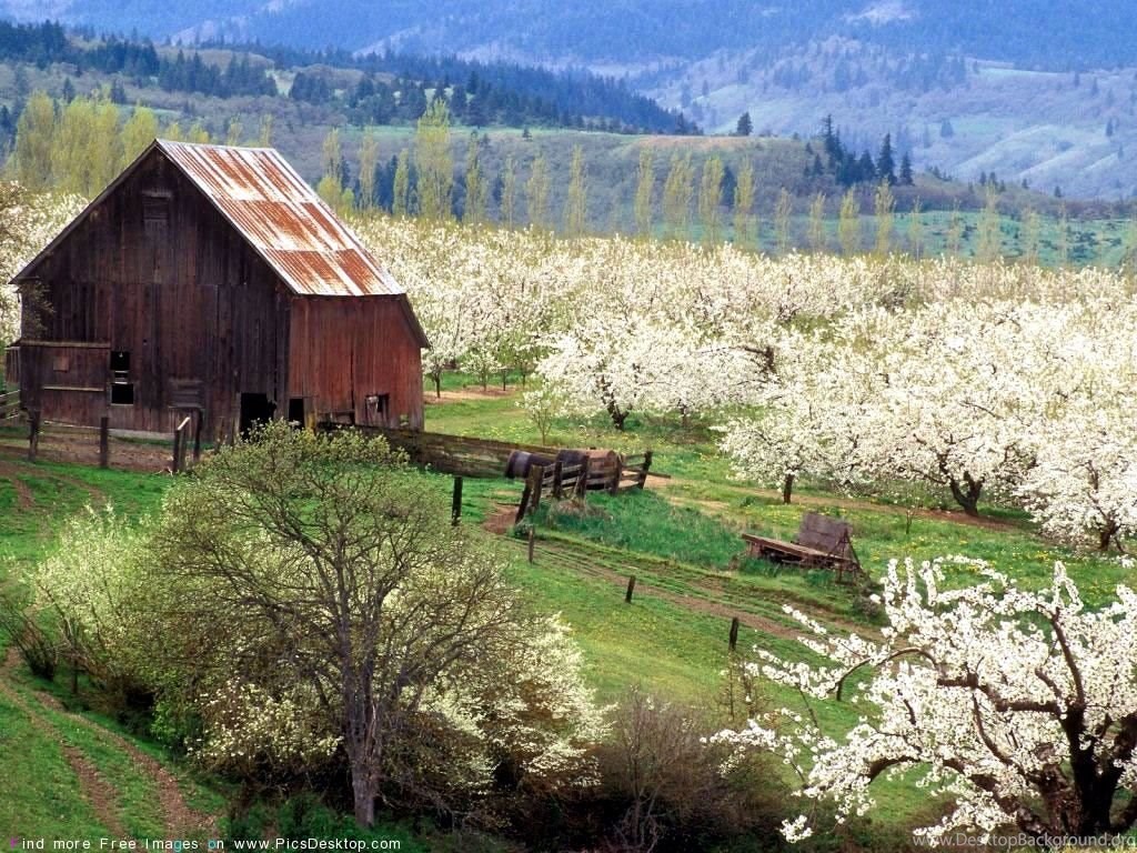 Barn In Spring Time , HD Wallpaper & Backgrounds